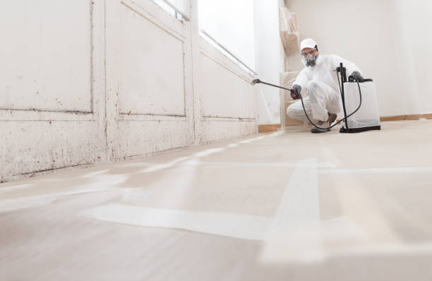 24/7 Emergency Mold Remediation experts in Boykins, VA